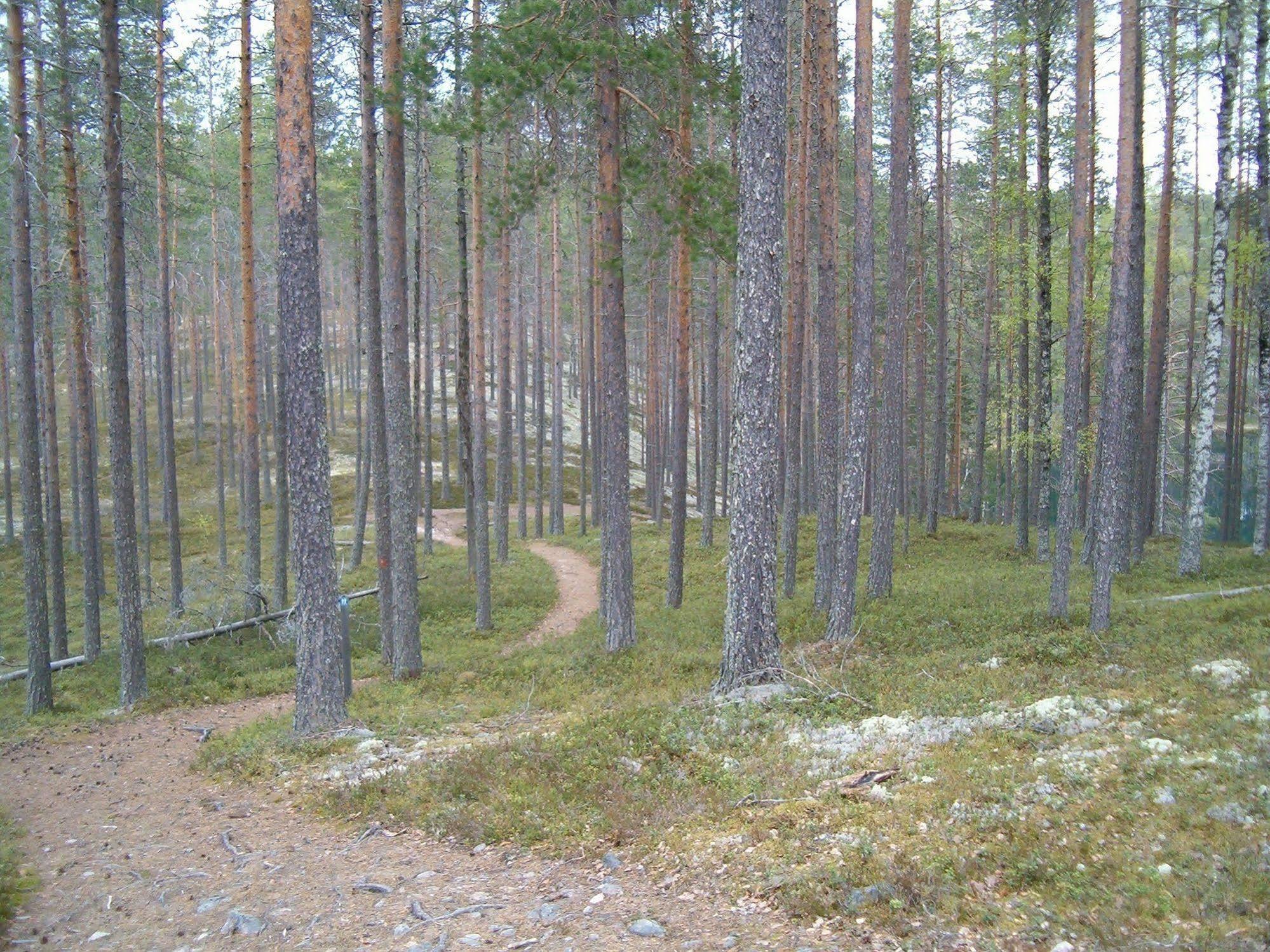 Manamansalo Camping 외부 사진